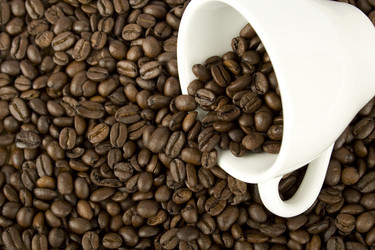 Similar image 150364