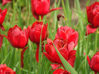 Similar image 150367