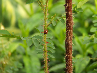 Similar image 150374