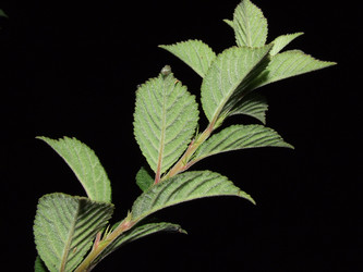 Similar image 150376