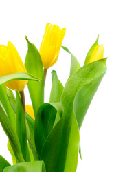 Similar image 150378