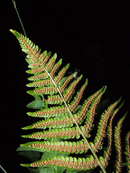 Similar image 150379