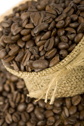 Similar image 150461