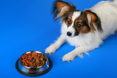 Similar image 150488