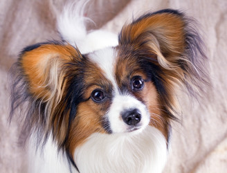 Similar image 150490