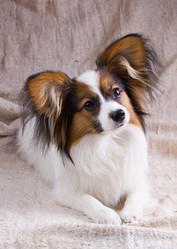 Similar image 150491