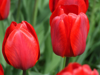 Similar image 150493