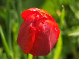 Similar image 150494