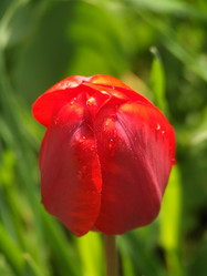 Similar image 150495