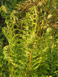 Similar image 150497