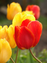 Similar image 150508