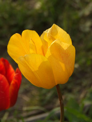 Similar image 150509