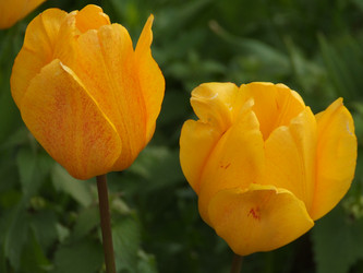 Similar image 150510