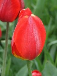 Similar image 150511