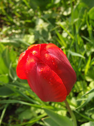 Similar image 150512