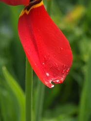 Similar image 150513