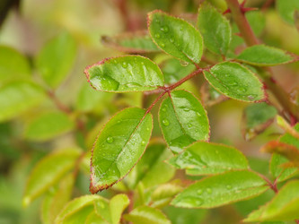 Similar image 150517