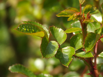 Similar image 150519