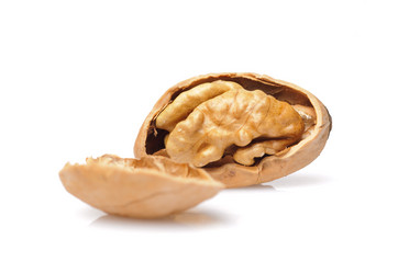 Similar image 150542