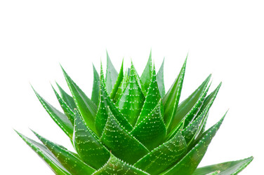 Similar image 150564