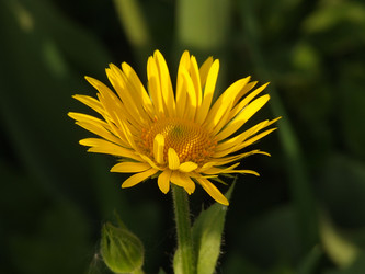 Similar image 150603