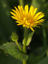 Similar image 150604