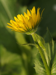 Similar image 150605