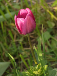 Similar image 150606