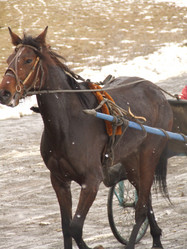 Similar image 150624