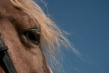 Similar image 150643