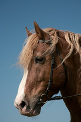 Similar image 150647