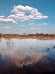 Similar image 150657