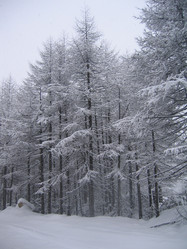 Similar image 150685