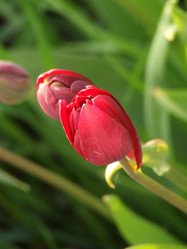 Similar image 150737