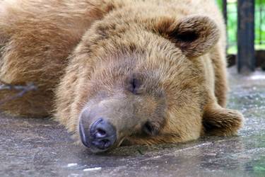 Similar image 150759