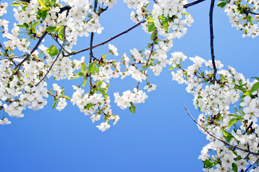 Similar image 150794