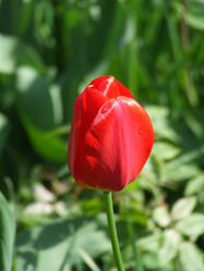 Similar image 150817