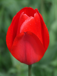 Similar image 150819