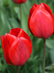 Similar image 150821