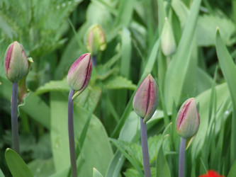 Similar image 150822