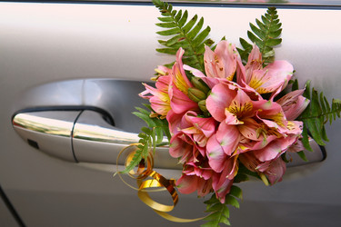 Similar image 150829