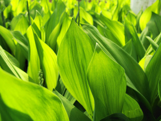 Similar image 150836