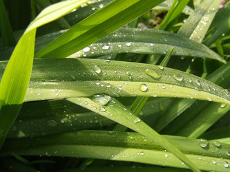 Similar image 150855