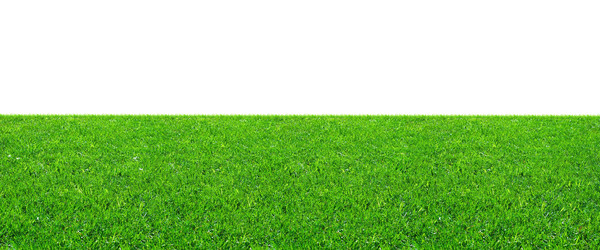 Similar image 150870