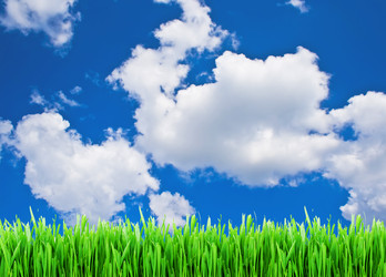 Similar image 150872