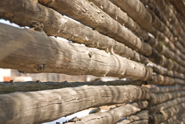 Similar image 150891