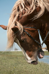 Similar image 150893