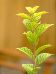 Similar image 150899