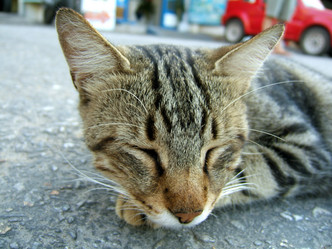 Similar image 150902