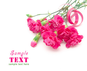 Similar image 150931